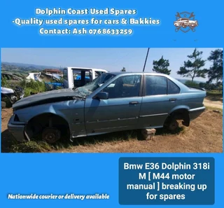 Bmw E36 Dolphin 318i M stripping