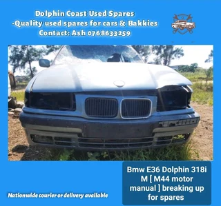 Bmw E36 Dolphin 318i M stripping