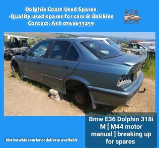 Bmw E36 Dolphin 318i M stripping