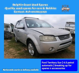 Ford Territory 4.0 peteol stripping