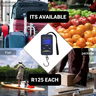 scale 40kg capacity hook scales for sale brand new