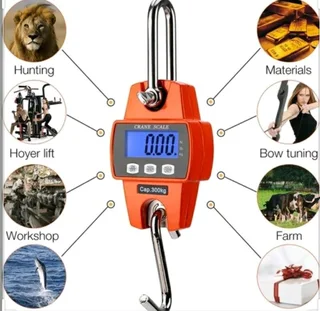 Hook scale 300kg capacity brand new for sale