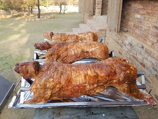 Charcoal Spit Braai's or/and Braaimasters for hire