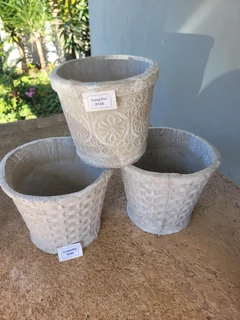 Buy Pots & get a Lemon Tree for Free!