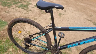 Raleigh Mountain Bike 29&#34;