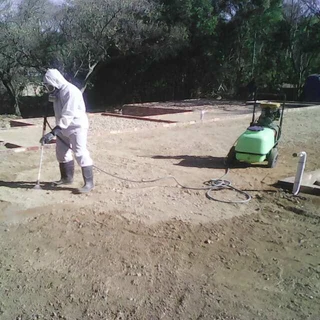 Pest Control Services