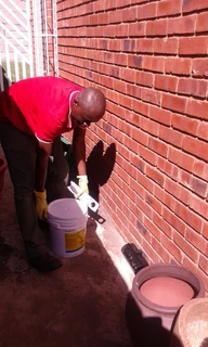 Pest Control Services