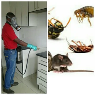 Pest Control And Fumigation