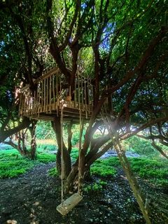 Treehouse, treehouse builders, treehouse guy, custom built treehouse