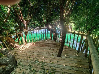 Treehouse, treehouse builders, treehouse guy, custom built treehouse