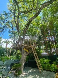 Treehouse, treehouse builders, treehouse guy, custom built treehouse