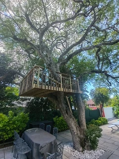 Treehouse, treehouse builders, treehouse guy, custom built treehouse