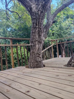 Treehouse, treehouse builders, treehouse guy, custom built treehouse