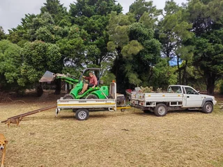 Plot clearing. Landscaping. Tree felling. Retaining wall. Painting. Decking. Treehouse.