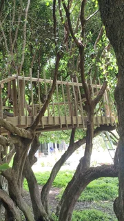 Treehouse, treehouse builders, treehouse guy, custom built treehouse