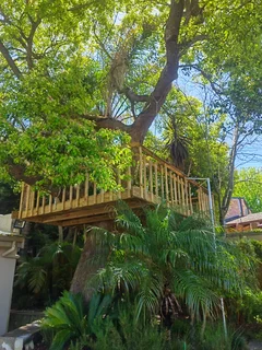 Treehouse, treehouse builders, treehouse guy, custom built treehouse