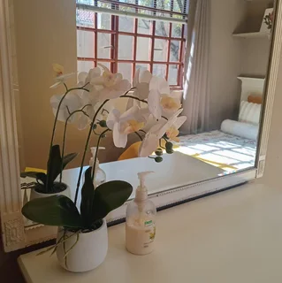 Furnished 1Bed Paulshof