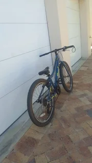 Marvel Noah  24 inch Bike