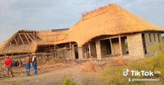 Vincent thatch roof lapa