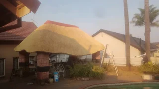 Vincent thatch roof lapa