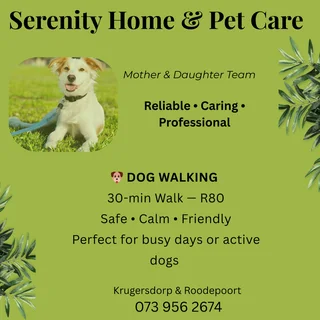 Dog  Walking Services
