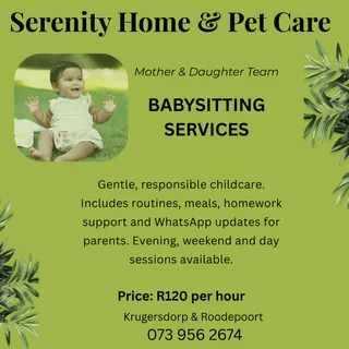 Baby Sitting Services