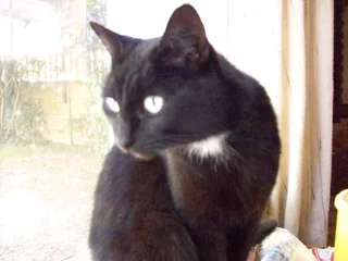 SOUTHFIELD : Missing