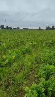 Massive 1.712Ha Corner Plot – Endless Potential in Prosperity AH, Delmas