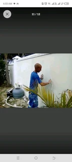 Painter for you at affordable price
