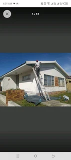 Painter for you at affordable price