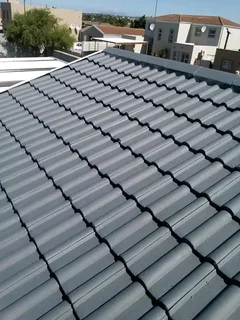 Painter for you at R450 per day