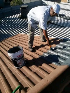 Painter for you at R450 per day