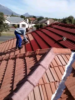 Painter for you at R450 per day