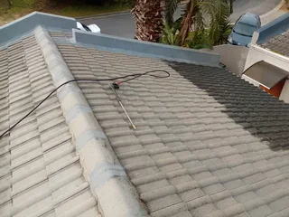 Painter for you at affordable price