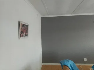 Painter for you at affordable price