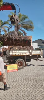 Knowle Tree services (068 826 5148)Tree felling,  stump uprooting, bush clearing in Port Elizabeth