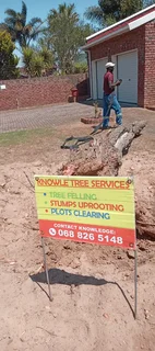 Debushing land in Port Elizabeth byKnowle Tree services (068 826 5148)