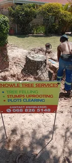 Debushing land in Port Elizabeth byKnowle Tree services (068 826 5148)