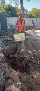 Debushing land in Port Elizabeth byKnowle Tree services (068 826 5148)