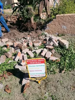 Knowle Tree services (068 826 5148)Tree felling,  stump uprooting, Bush/Plot clearing in PE