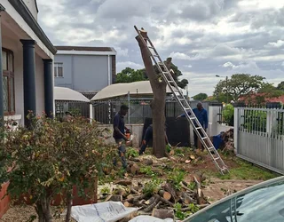 Knowle Tree services (068 826 5148)Tree felling,  stump uprooting, Bush/Plot clearing in PE