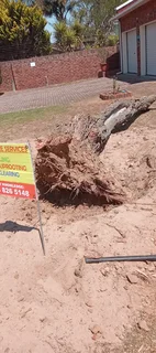 Knowle Tree services Tree felling, Stump uprooting, Plot/bush clearing in PE(068 826 5148)