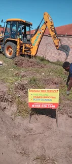 Knowle Tree services Tree felling, Stump uprooting, Plot/bush clearing in PE(068 826 5148)