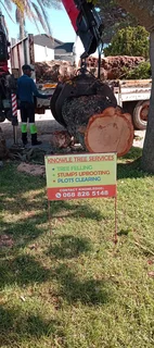 Knowle Tree services Tree felling, Stump uprooting, Plot/bush clearing in PE(068 826 5148)