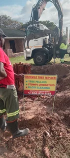 Knowle Tree services Tree felling, Stump uprooting, Plot/bush clearing in PE(068 826 5148)