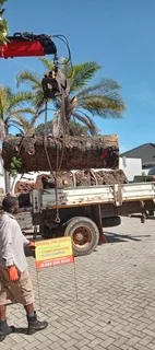 Knowle Tree services (068 826 5148)Tree felling,  stump uprooting, Plot/bush clearing in PE