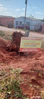 Knowle Tree services (068 826 5148)Tree felling,  stump uprooting, Plot/bush clearing in PE