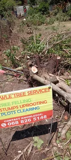 Knowle Tree services (068 826 5148)Tree felling,  stump uprooting, Plot/bush clearing in PE