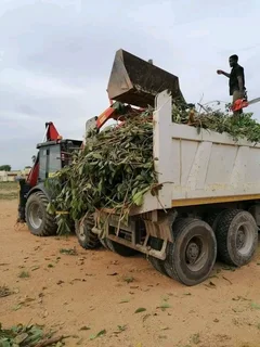 Knowle Tree services (068 826 5148)Tree felling,  stump uprooting,  Plot/bush clearing in PE