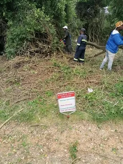 Knowle Tree services (068 826 5148)Tree felling,  stump uprooting,  Plot/bush clearing in PE